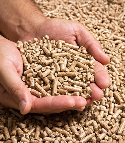 Biomass Pellets